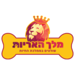 Lion King מלך האריות
